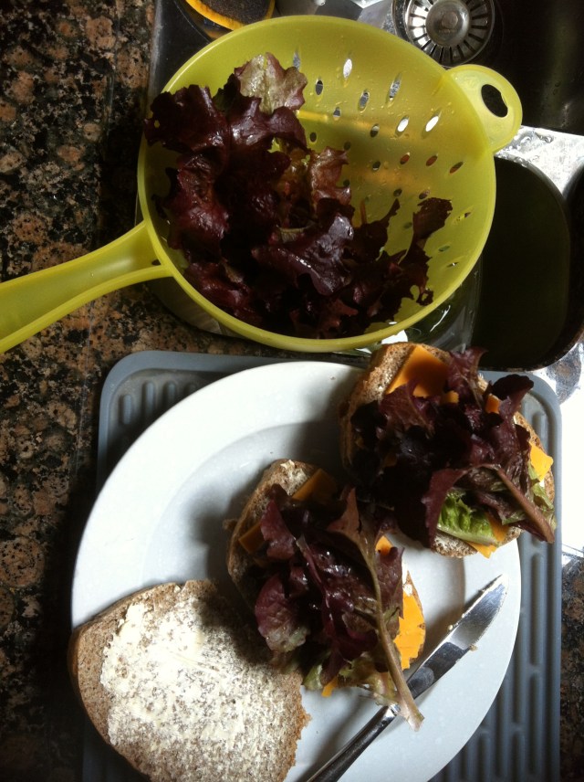 Giles' delicious lettuce sandwich